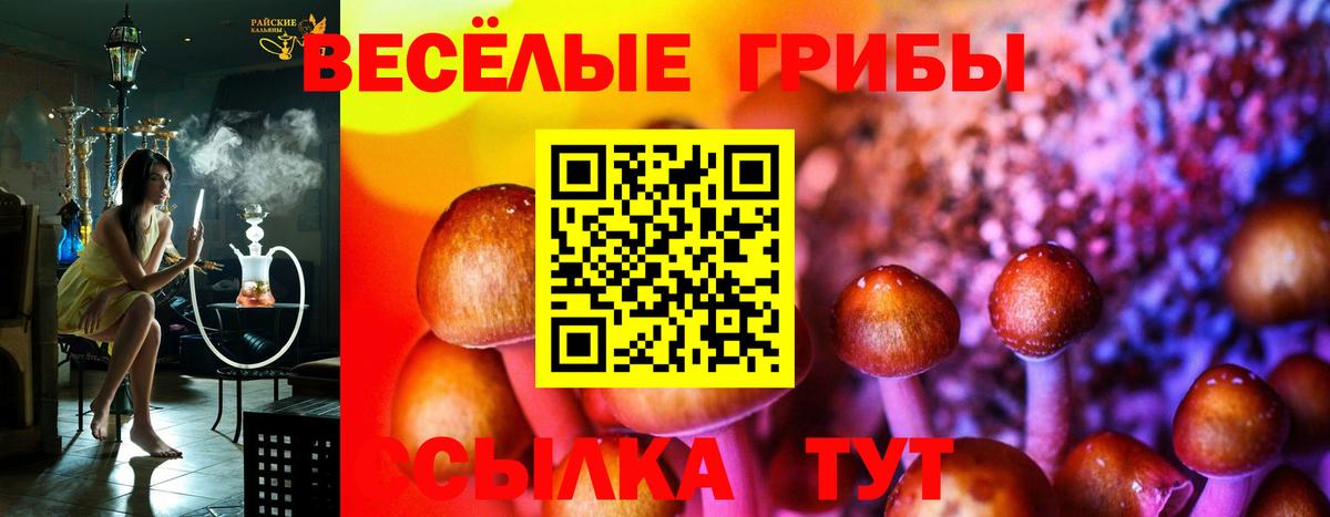 Псилоцибиновые грибы мухоморы Миллерово